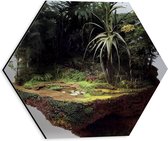 Dibond Hexagon - Eiland - Bomen - Planten - Groen - 30x26.1 cm Foto op Hexagon (Met Ophangsysteem)