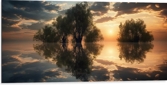 Dibond - Bomen - Water - Werkaatsing - Zonsondergang - Wolken - 100x50 cm Foto op Aluminium (Wanddecoratie van metaal)