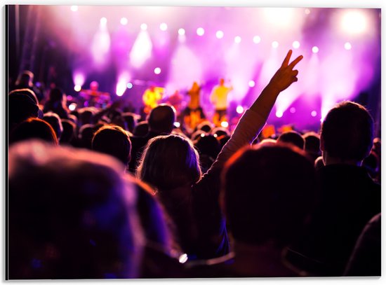 Dibond - Concert - Mensen - Muziek - Lichten - 40x30 cm Foto op Aluminium (Met Ophangsysteem)