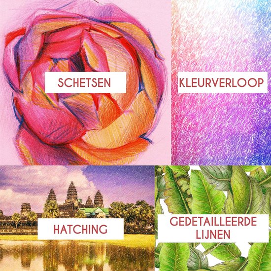CaluPaint Verfol Profi Line Zachte Kern Wit/groen 21mm Poolhoogte Per Stuk Verpakt CaluPaint Verfol Profi Line Zachte Kern Wit/groen 21mm Poolhoogte Per Stuk Verpakt