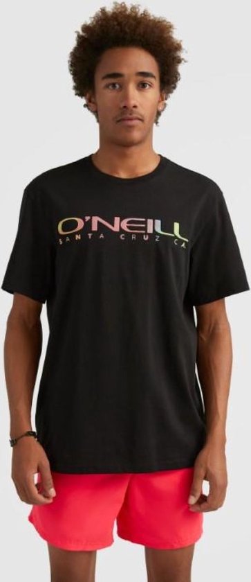 O'neill T-Shirts SANBORN T-SHIRT