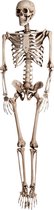 Fjesta Halloween Hangdecoratie Skelet - Halloween Decoratie - 160cm