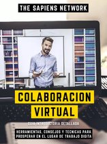 Colaboracion Virtual