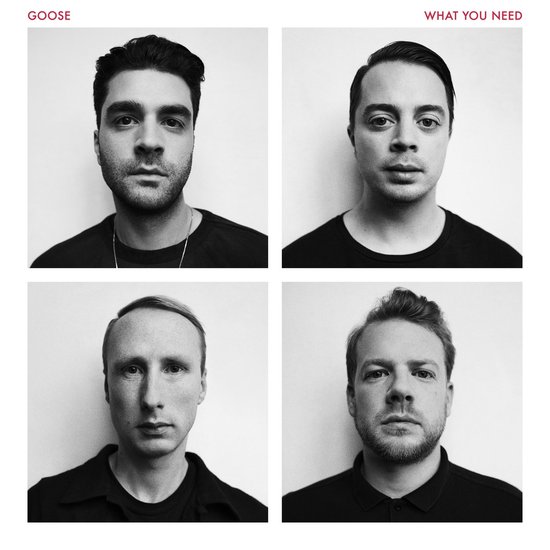 Goose - What You Need (LP)