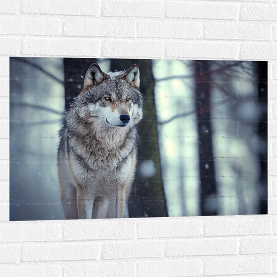 Muursticker - Wolf staat in een bos in de sneeuw - 90x60 cm Foto op Muursticker