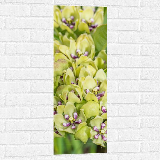 Muursticker - Kleine Paarse Bloemen Liggend in Licht Groene Bloem Gevormde Bladeren - 30x90 cm Foto op Muursticker