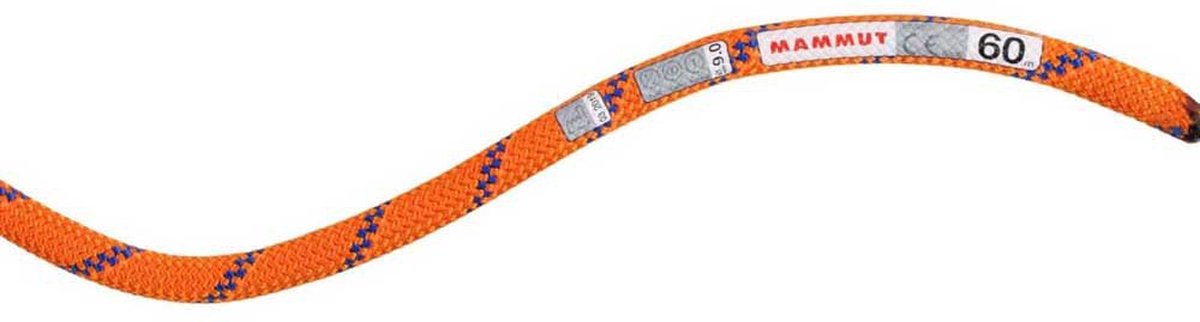 Mammut Alpine Sender Dry 9.0 Mm Touw Oranje 50 m