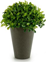 Decoratieve plant Plastic 13 x 16 x 13 cm Groen Grijs (12 Stuks)