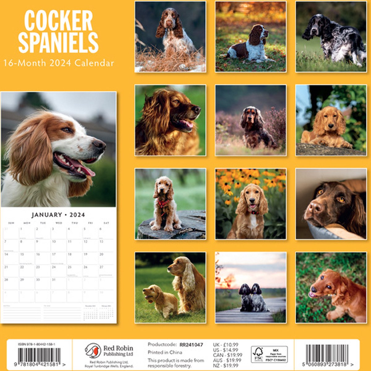 Cocker Spaniels Kalender 2024