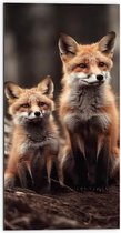 Dibond - Moeder vos en kind zitten in een bos - 50x100 cm Foto op Aluminium (Met Ophangsysteem)