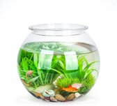 Ball aquarium shatterproof plastic fish bowl, ideal for flowers or as a fish bowl, 20 cm