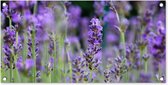 Tuinposter Lavendel - Bloemen - Natuur - Paars - 80x40 cm - Wanddecoratie Buiten - Tuinposter - Tuindoek - Schuttingposter - Tuinschilderij