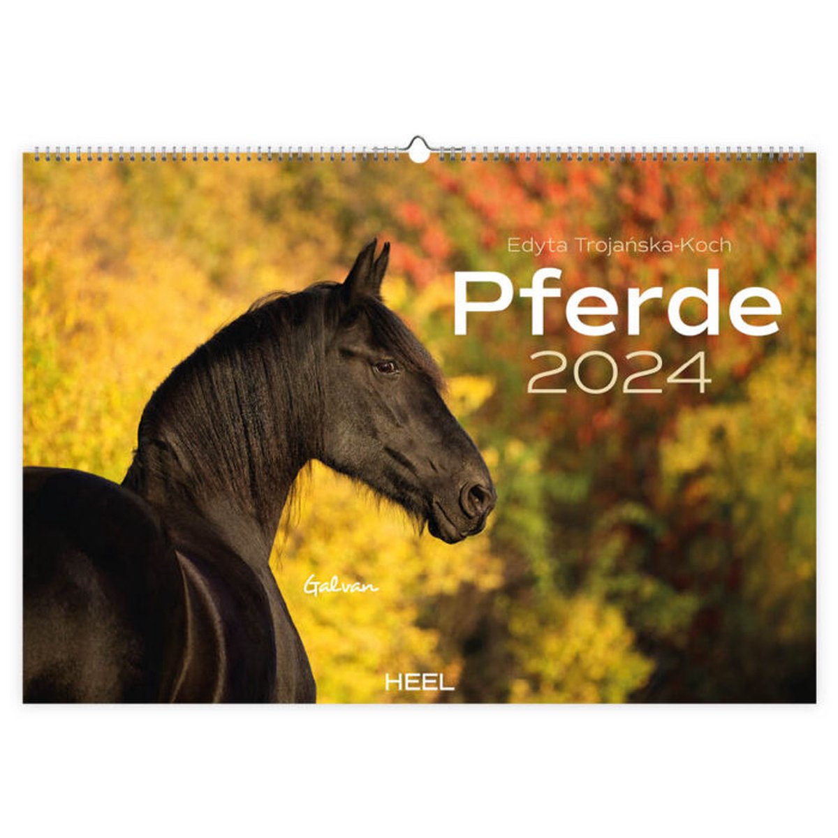 Paarden Kalender 2024