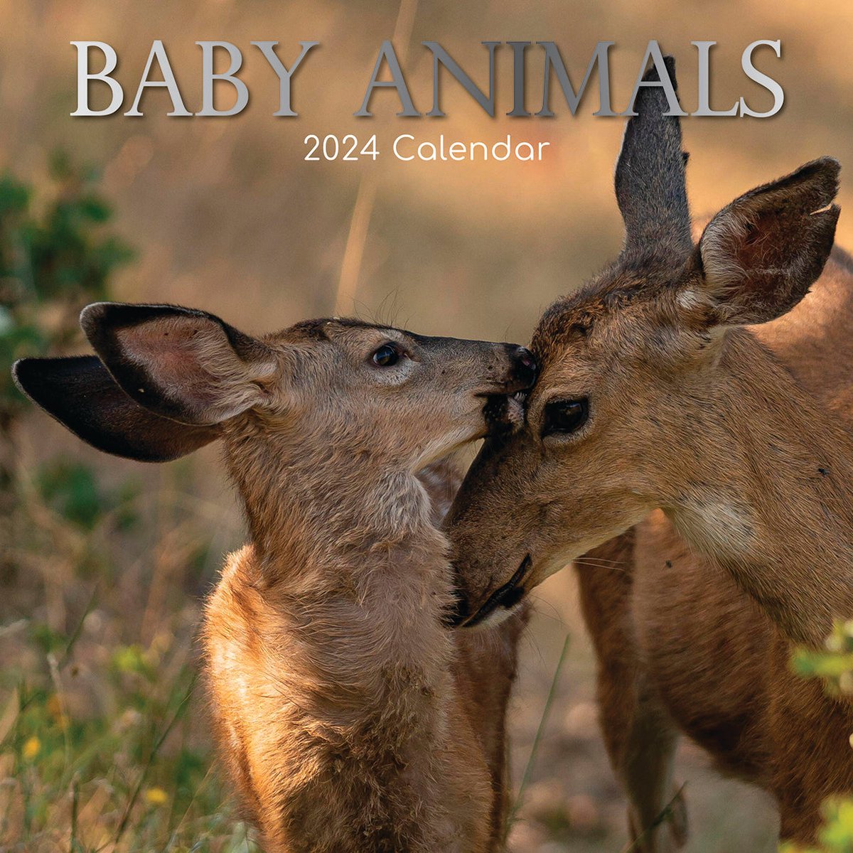 Baby Animals Kalender 2024