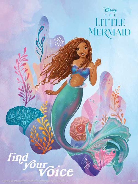 The Little Mermaid Find Your Voice Art Print 30x40cm | Poster