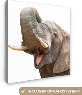 Canvas Schilderij Olifant - Tong - Wit - 50x50 cm - Wanddecoratie