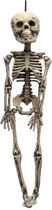 Horror/Halloween skelet/geraamte - hangend - 30 cm - hangdecoratie