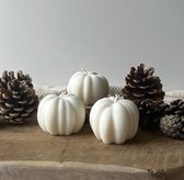 MinaCasa - Pompoen kaarsen set - 3 stuks - wit - herfst - halloween - woondecoratie