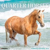 American Quarter Horses 2024 12 X 12 Wall Calendar