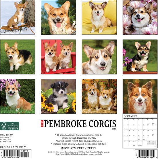Just Pembroke 2024 12 X 12 Wall Calendar, Willow Creek