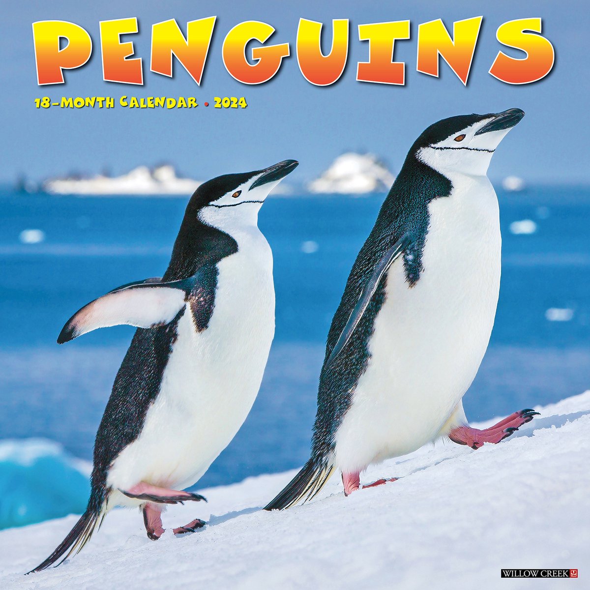 Pinguin Kalender 2024