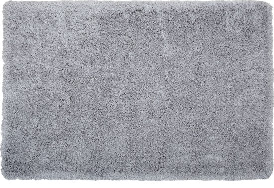 CIDE - Shaggy vloerkleed - Grijs - 200 x 300 cm - Polyester