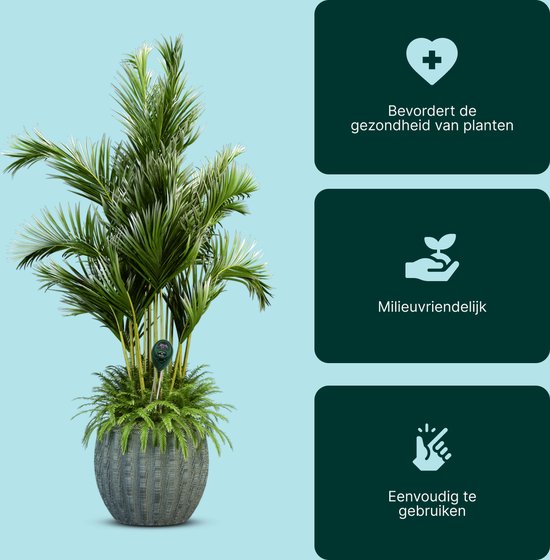 Vestifex® Vochtmeter Voor Planten - 3 in 1 Vochtigheidsmeter - Watermeter Voor Kamerplanten - PH Meter - Plantenvoeding - Tuinartikelen - Voor Binnen & Buiten Planten