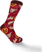 JustSockIt Halloween sokken - Pompoen - Vleermuis - Enge Sokken - Leuke sokken - Vrolijke sokken