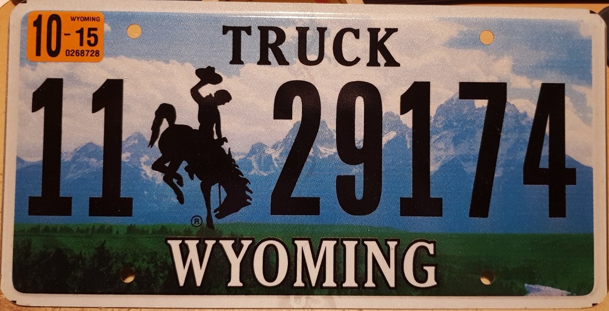 TammieLove Plaque d'immatriculation Wyoming Vanity 1 Jcw Wy John Joe Jim Jerry Wilson Williams 15 x 12 Pouces