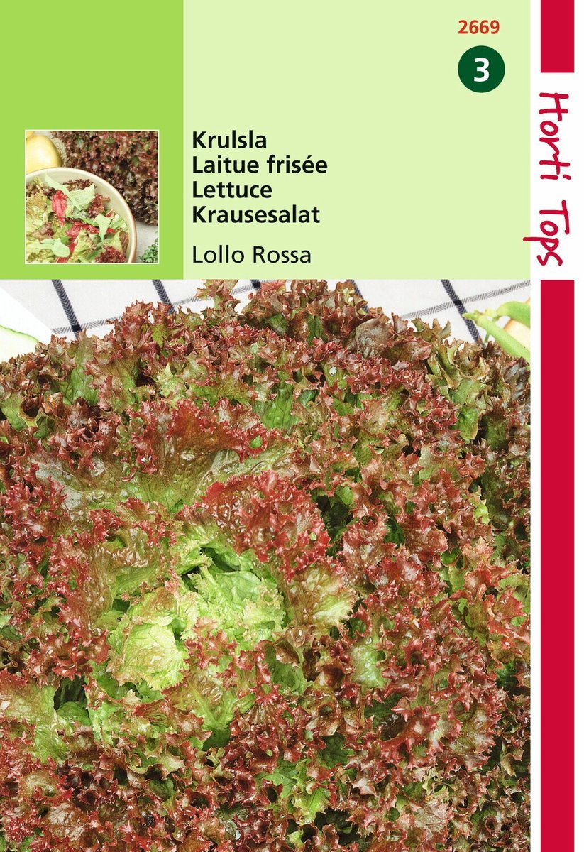 2 stuks - Hortitops - Krulsla Lollo Rossa