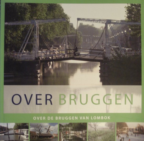 9789079003068 - Over Bruggen