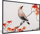 Fotolijst incl. Poster - Japanse esdoorn - Boom - Vogels - 30x20 cm - Posterlijst
