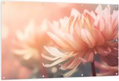 Tuinposter – Vol Bloeiende Licht Roze Chrysant Bloemen - 150x100 cm Foto op Tuinposter (wanddecoratie voor buiten en binnen)