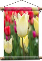 Textielposter - Wit gekleurde tulpen met andere kleuren op de achtergrond - Bloemen - 30x40 cm Foto op Textiel