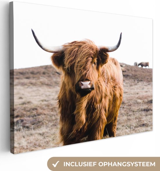 Toile - Animaux - Highlander écossais - Nature - Vaches - Peintures salon - Intérieur - Photo sur toile - 40x30 cm - Cadre bois