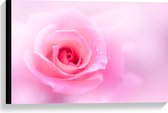 Canvas - Mooie Licht Roze Roos op Licht Roze Wolkje - Bloemen - 60x40 cm Foto op Canvas Schilderij (Wanddecoratie op Canvas)