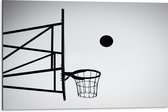 Dibond - Bal Vallend in Basket (Zwart-wit) - 75x50 cm Foto op Aluminium (Wanddecoratie van metaal)