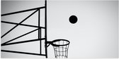 Poster (Mat) - Bal Vallend in Basket (Zwart-wit) - 100x50 cm Foto op Posterpapier met een Matte look