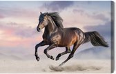 Schilderijkoning - Canvas Schilderij Paard In Galop - 30 x 20 cm