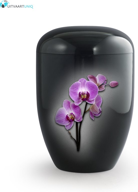 Eco urn zwart orchidee - bio (biologisch afbreekbaar)