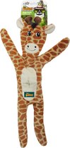 AFP Safari - Jungle Giraffe