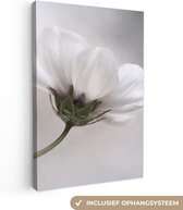 Canvas schilderij - Canvas doek - Bloemen - Wit - Natuur - Stilleven - Wanddecoratie - 60x90 cm - Foto op canvas