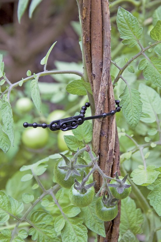 Klimrooster Tuin Trellis hekwerk klimhulp Plantenklimrek metaal,metalen tuin om in te steken Iron Garden Trellis Potted Support Lattice Grid for Climbing Plants for Ivy Roses Cucumbers Clematis