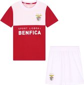 Benfica Home Kit 23/24 - Taille 164 - Ensemble Sportswear Enfants