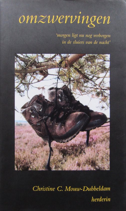 Omzwervingen - cover