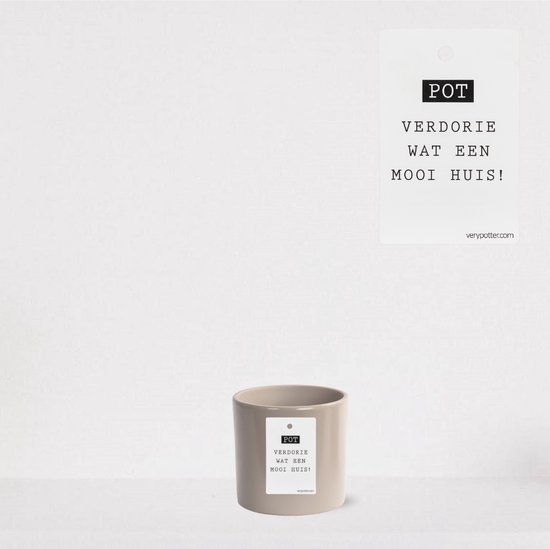 Kolibri Home | Le Chic Bloempot - Witte Keramieken Sierpot Met Zilveren Details Potmaat 9cm