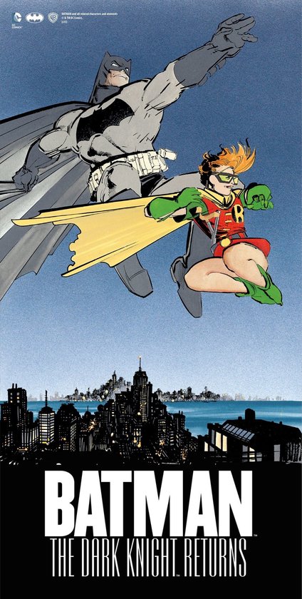 The Dark Knight Returns: Batman and Robin Glass Poster