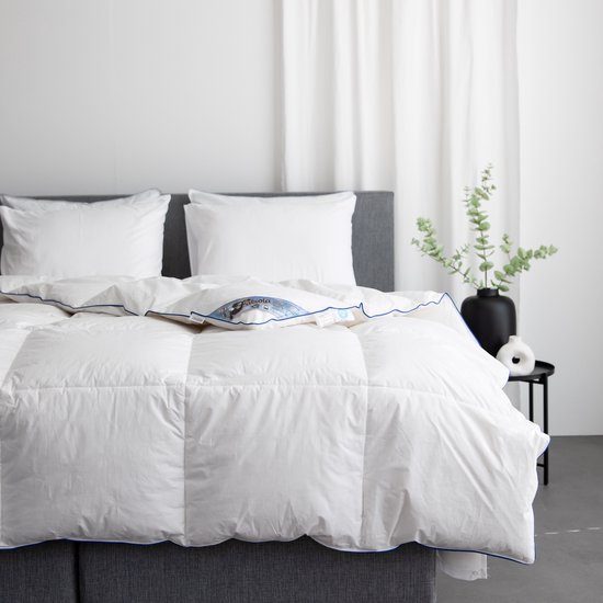 Een opgemaakte witte 'Fabiola' donsdeken met blauwe bies op een bed, met een plant op een bijzettafel.