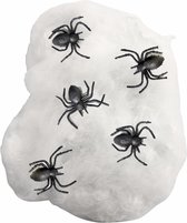 Horror/Halloween griezel spinnetjes met spinnen rag - 10x - kunststof - zwart - 3 cm