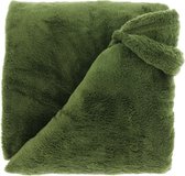 Unique Living Plaid Justin - Polyester - Groen - 150x200 cm (BxH)